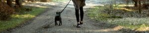 A person walking a dog on a concrete path.